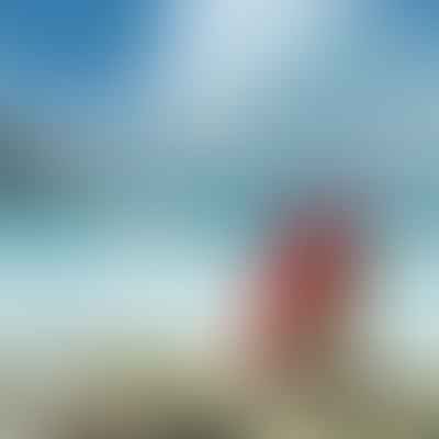 Where Big Waves Meet Big Payouts: California Lifeguard Salary Scopes