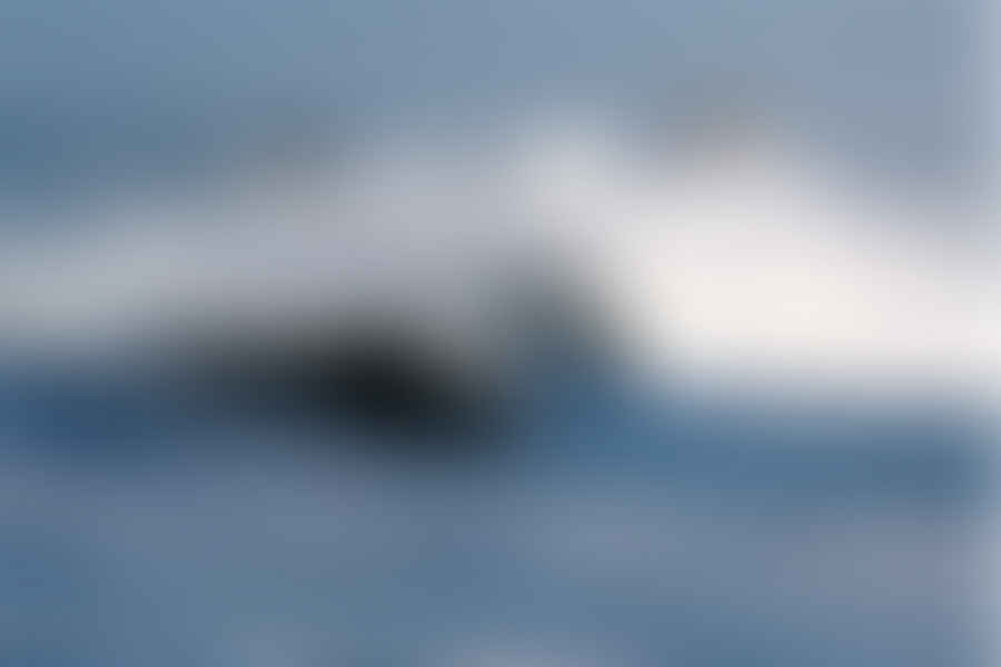Waves and currents in the ocean
